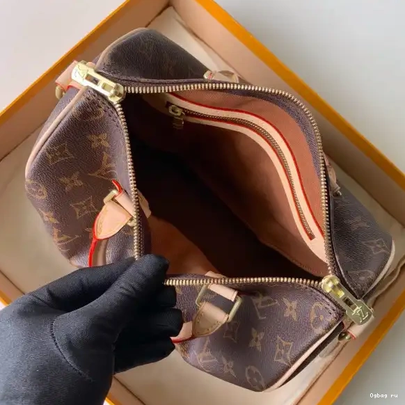 Vuitton SPEEDY BANDOULIERE 25 Louis 0509